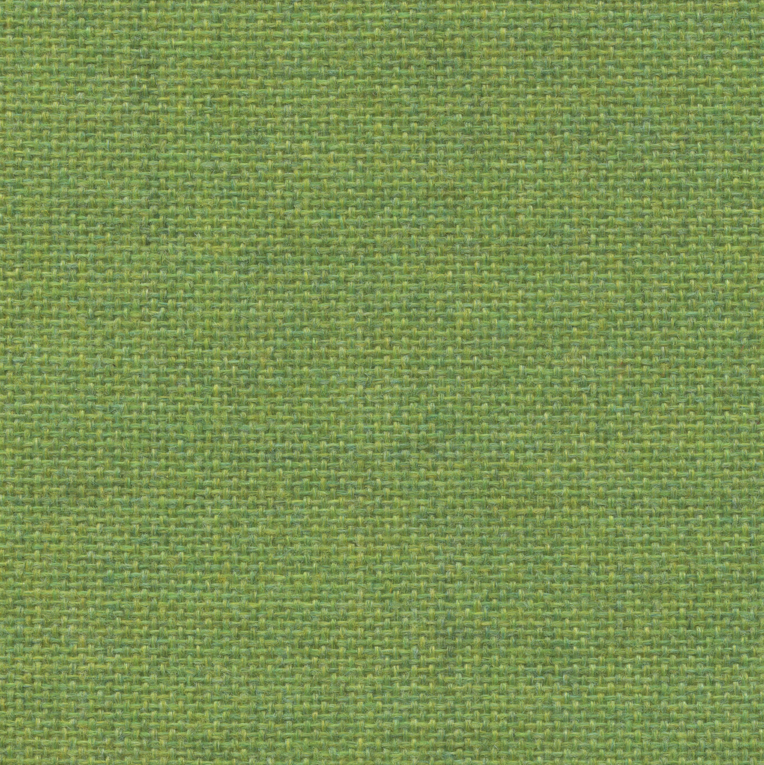 Equal Lime