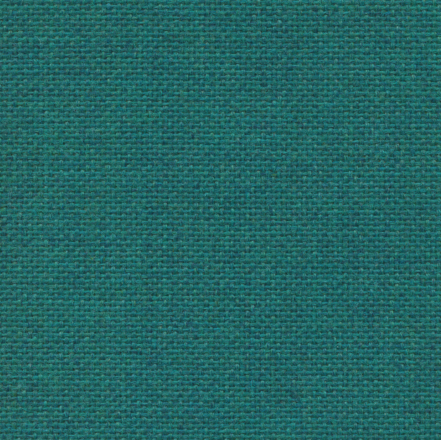Equal Teal