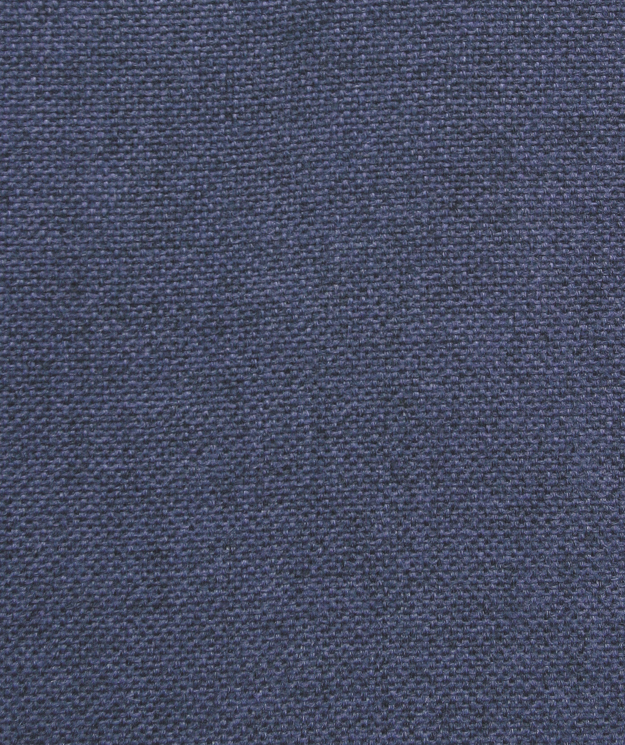 Equal Blue Plum