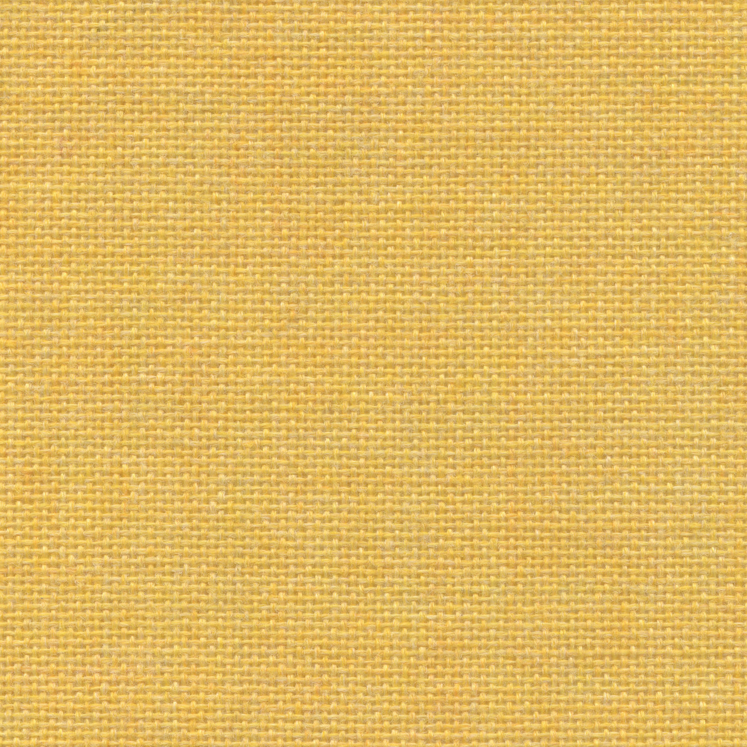 Equal Yellow