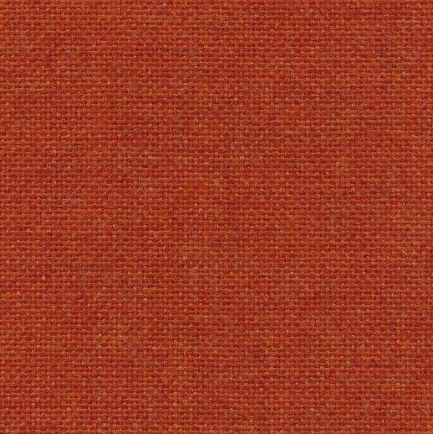 Equal Orange