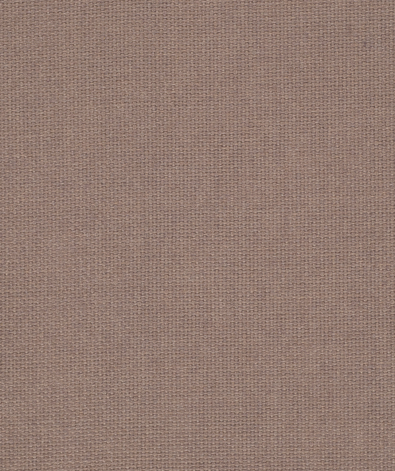 Equal Moleskin