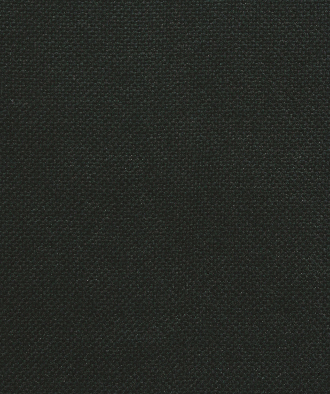 Equal Black