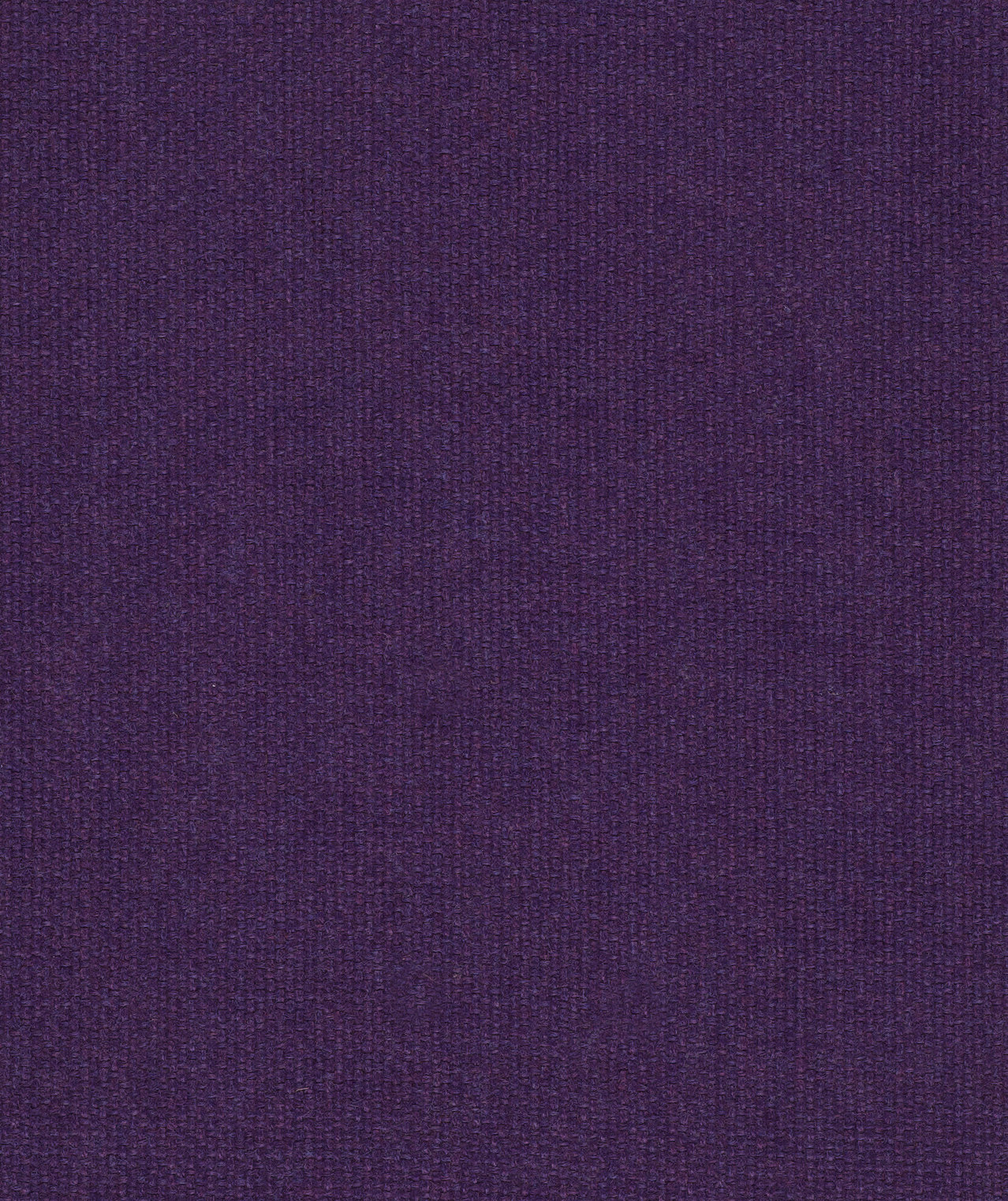 Equal Iris
