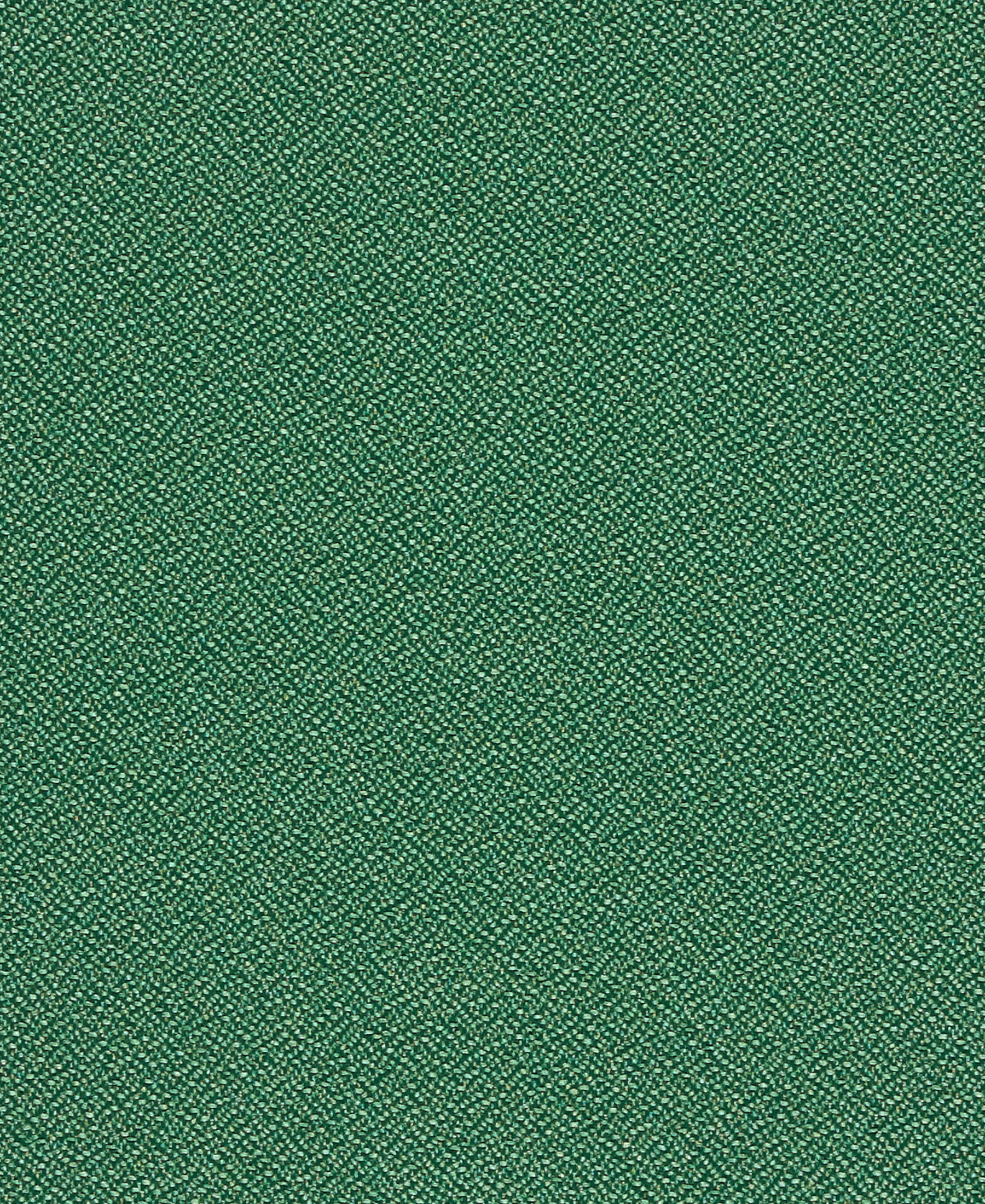 Forte Hedge