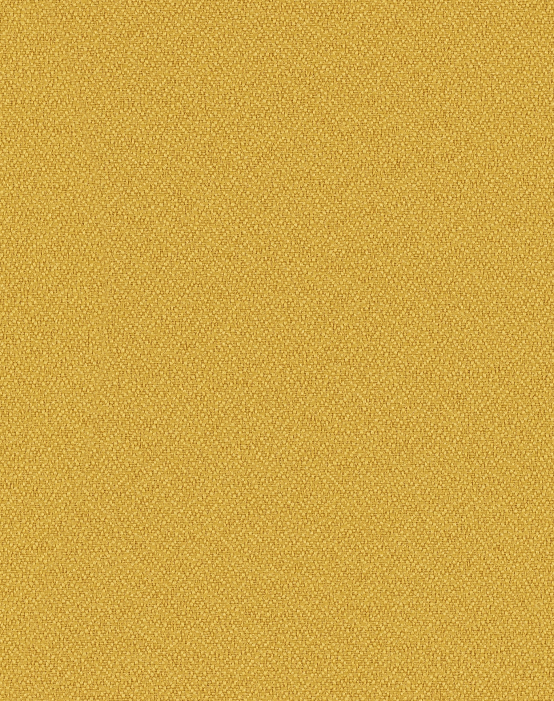 Foundation 10 Marigold