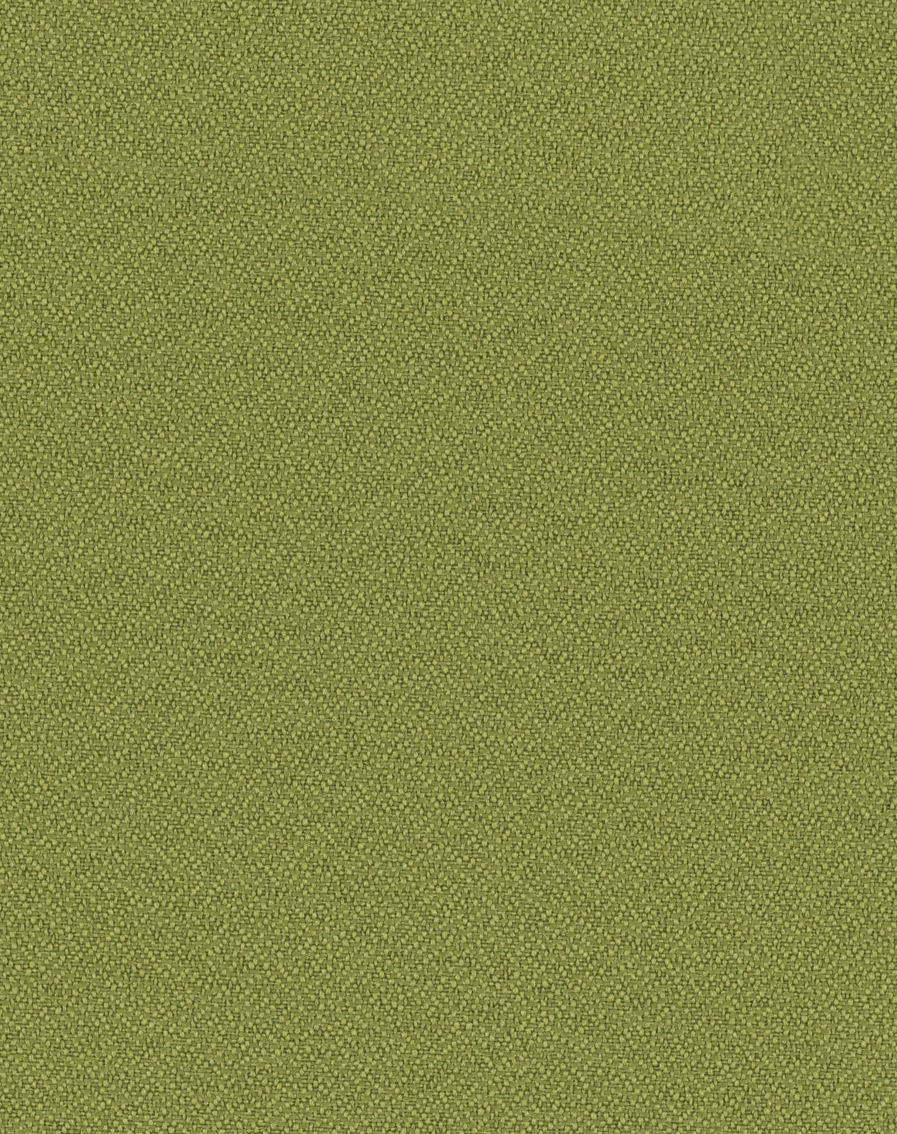 Foundation 10 Key Lime