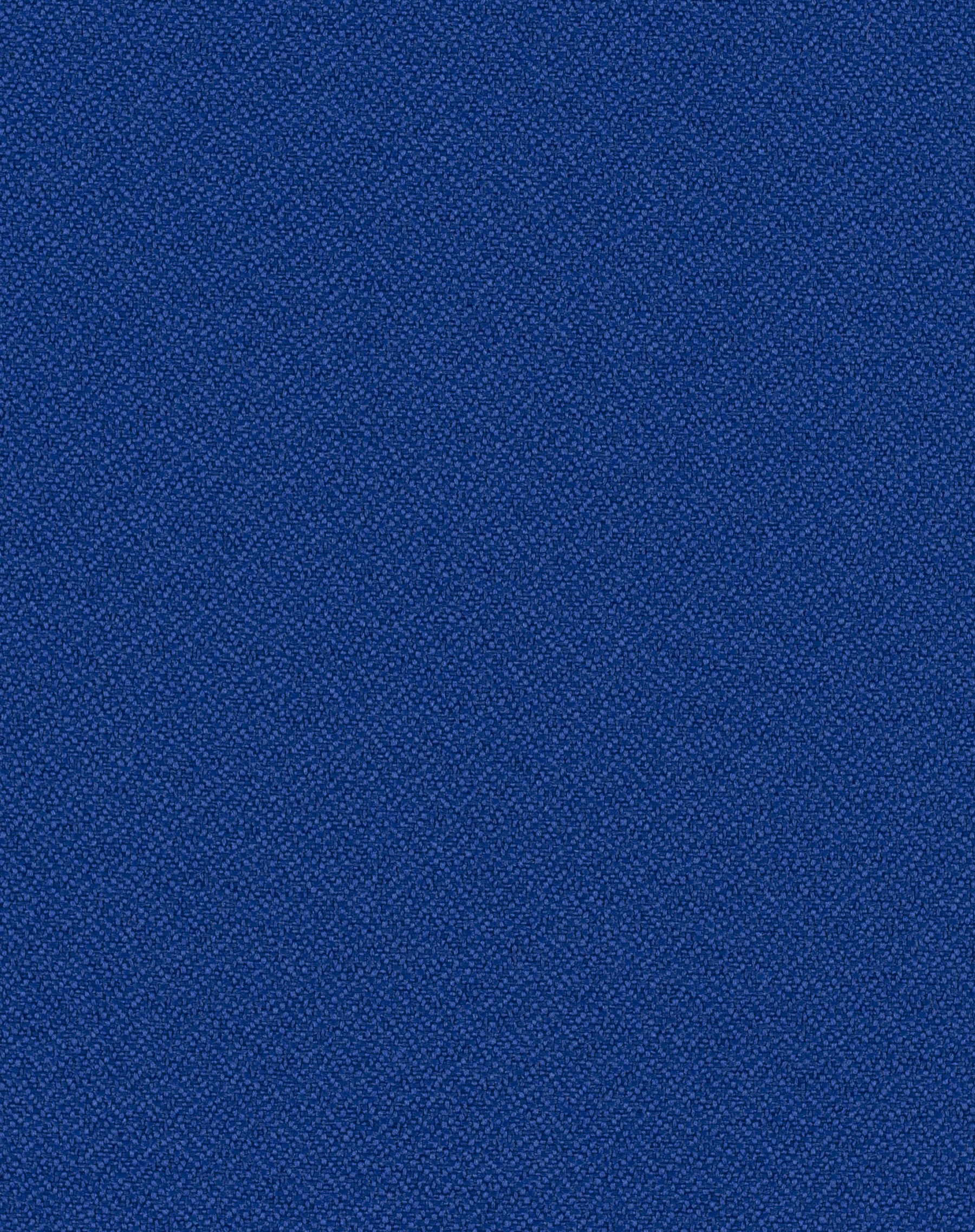 Foundation 10 Bluejay