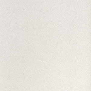 Design - Ali-111