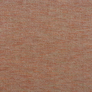 DELPHINI - AMARETTI
