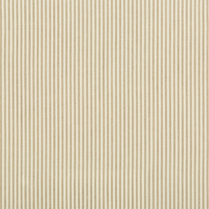 BASICS - 35374-106