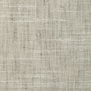 BASICS - 4853-1121