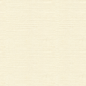 BASICS - 33842-101