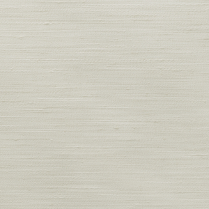BASICS - 4852-1101