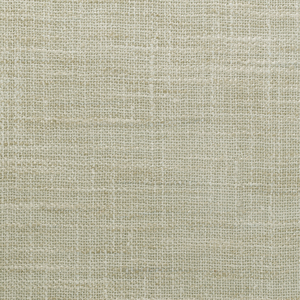 BASICS - 4853-1113