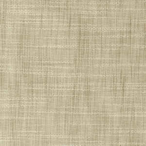 BASICS - 8813-1011