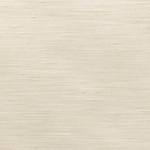 BASICS - 4852-1