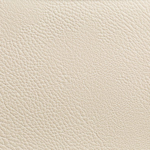 RUSTLER - GYPSUM