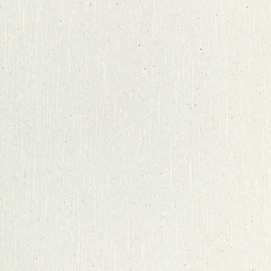 BASICS - 3691-116