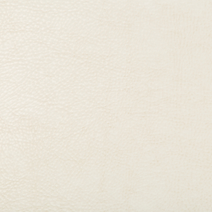 DESIGN - BEHOLDER-1