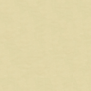 DESIGN - 4070-1116