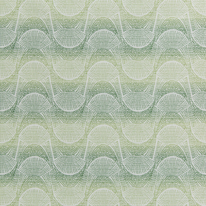 TOFINO - CLOVER