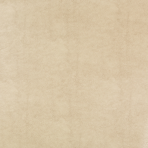 DESIGN - BEHOLDER-116