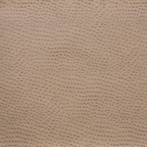 DESIGN - DELANEY-1616