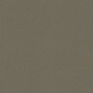 DESIGN - RIGEL-11