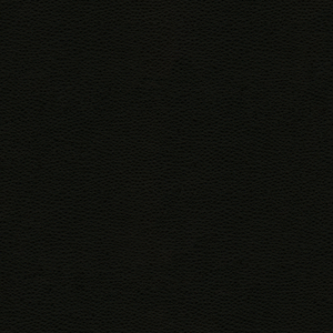 DESIGN - RIGEL-8