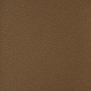 DESIGN - ARENI-6