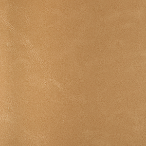 DESIGN - RIND-116