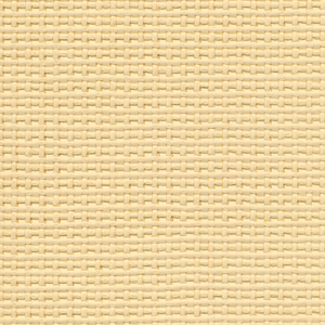 DESIGN - NEXUS-1