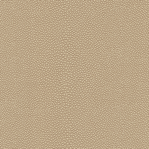 DESIGN - MINDY-21