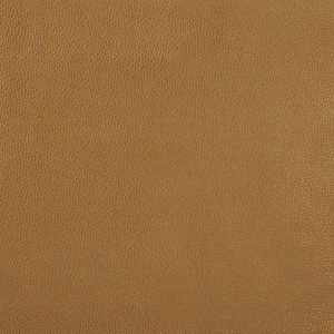 DESIGN - SPARTA-4