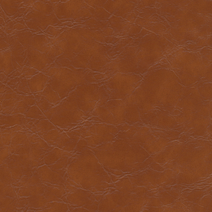 DESIGN - EQUINE-606