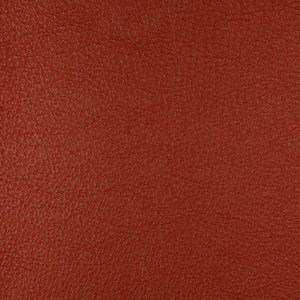 DESIGN - HARMONY-24