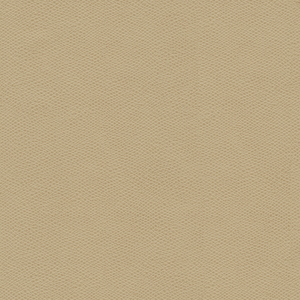 DESIGN - CURED-106