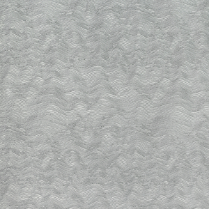 WATERY MOTION - GULL