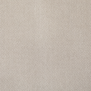 GRACEFUL MOVES - CREAM