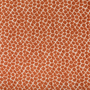 DESIGN - 36753-12