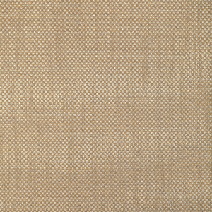 DESIGN - 37498-416
