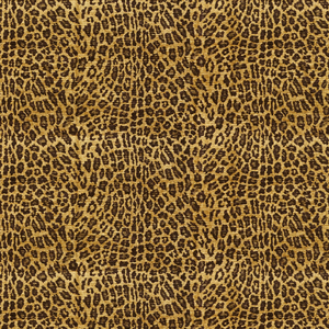 SAVVY SAFARI - LEOPARD