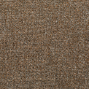 PASARO - VICUNA