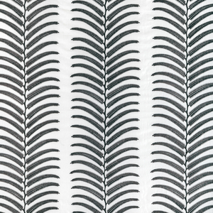 PLANTAE - NOIR