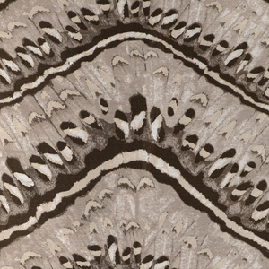 MOTH WEAVE - NATURAL
