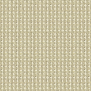RARE COIN - PLATINUM