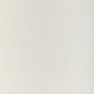HAIKU TEXTURE - SNOW