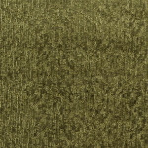 ROMA - OLIVE