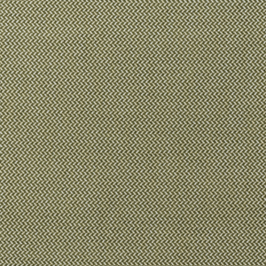 SANREMO - OLIVE